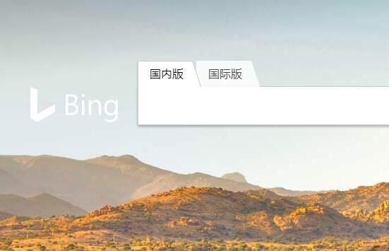 必應(yīng)搜索被曝包含兒童色情內(nèi)容,微軟:將努力修復(fù)
