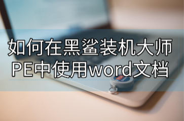 如何在黑鯊裝機大師PE中使用word文檔